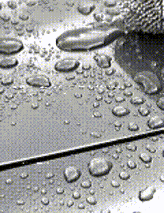 IMG-7895.gif